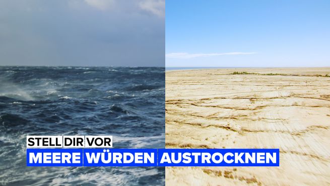 go to Stell dir vor, die Ozeane sind ausgetrocknet