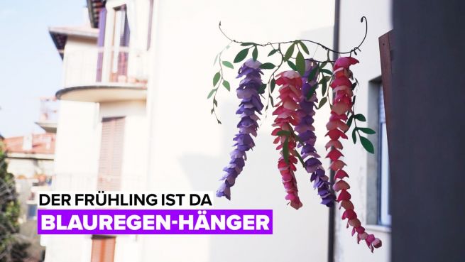 go to Der Frühling ist da: Blauregen-Hänger