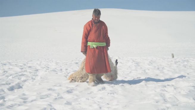 go to Harte Winter: Wie die Mongolen ums Überleben kämpfen