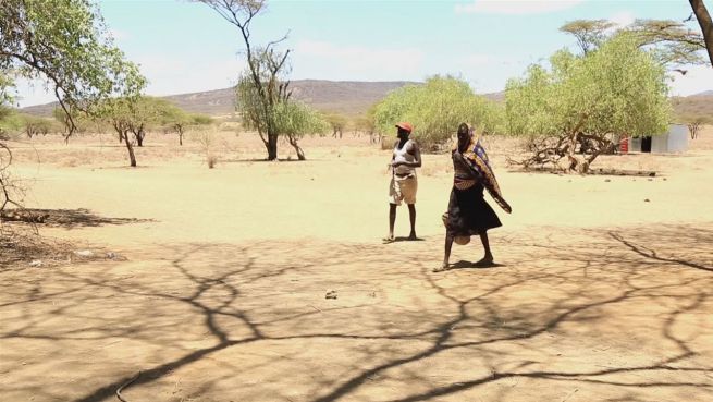 go to Warten auf den Tod: Jahrhundertdürre in Kenia